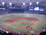 800px-tropicana_field_playing_field_opening_day_2010